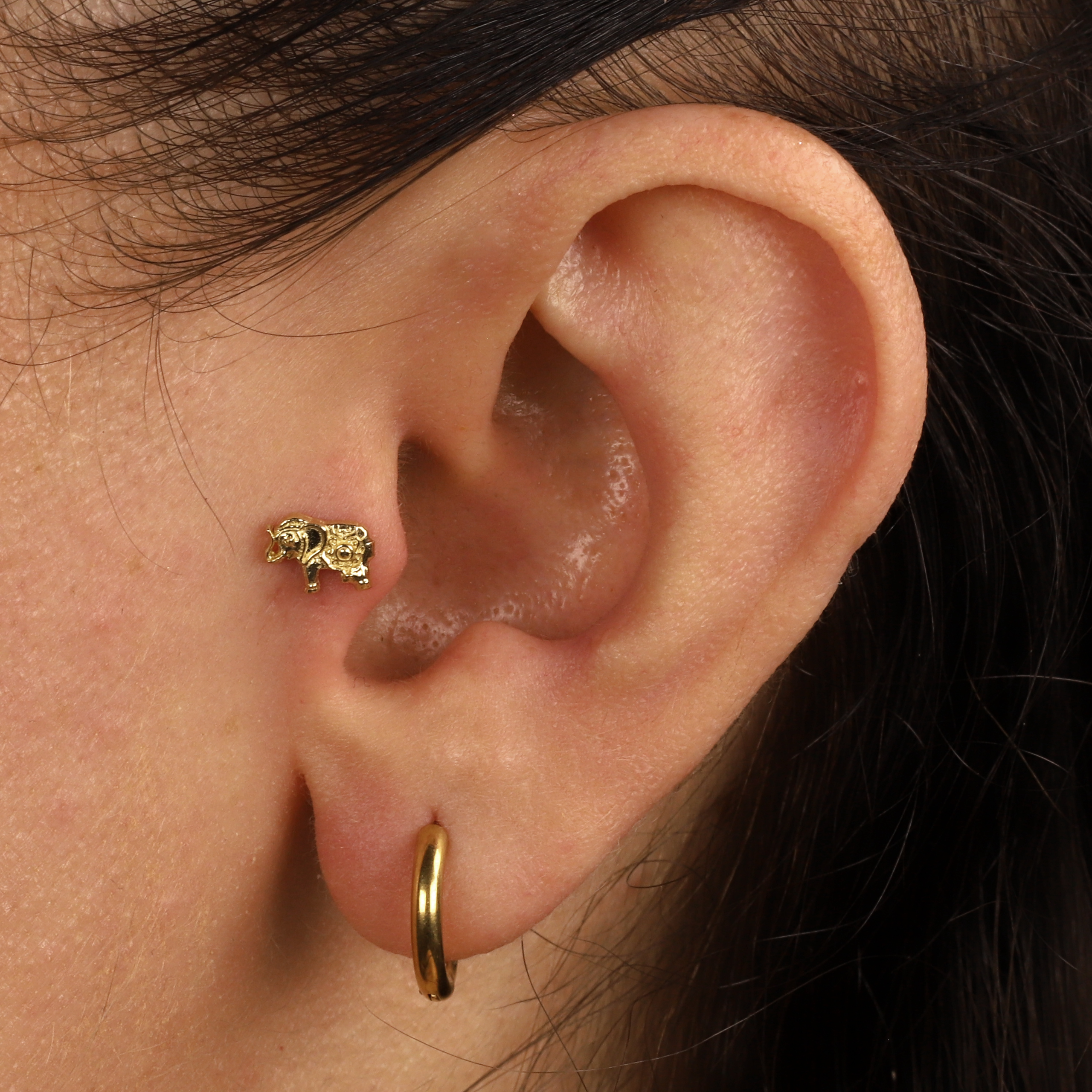 14K Gold Elephant of Abundance Flatback Ear Piercing
