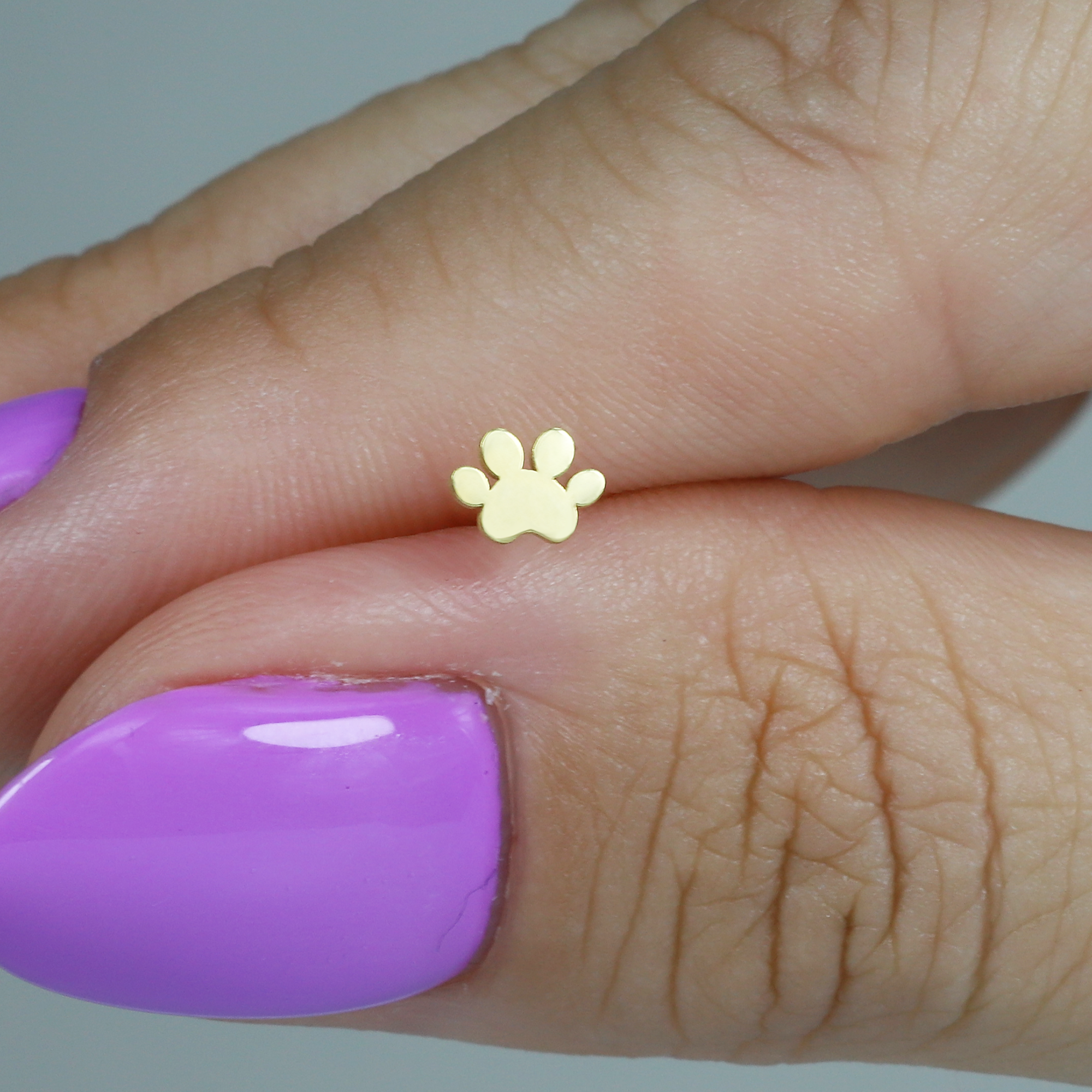 Paw Flatback Ear Piercing 14K Gold