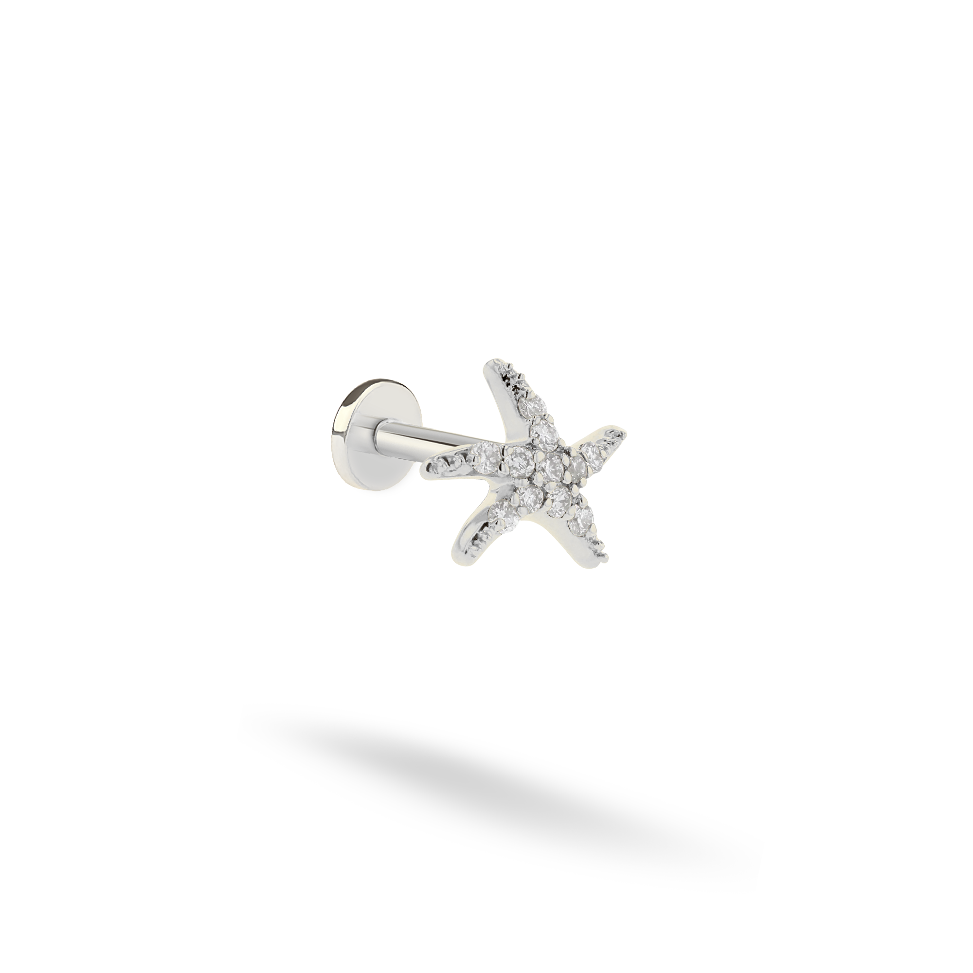 Sea Star Flatback Ear Piercing 14K Gold / Silver