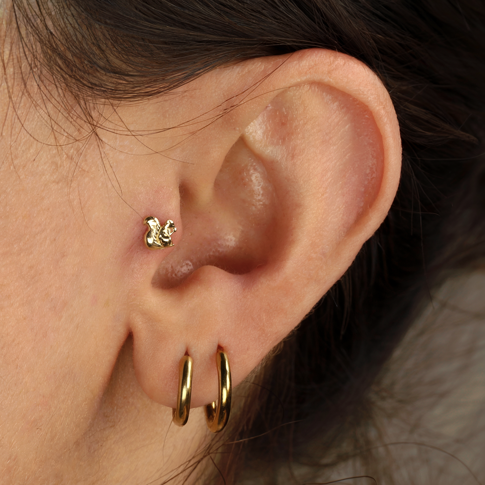 14K Solid Gold Squirrel Flatback Piercing