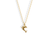 Dolphin necklace with a charming dolphin pendant, perfect for ocean lovers. Discover sea life jewelry in 14k gold or silver for everyday style and gifting.
