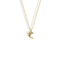 Classic Dolphin Pendant Necklace 14K Gold in yellow gold, the dolphin curved mid-leap on a fine chain