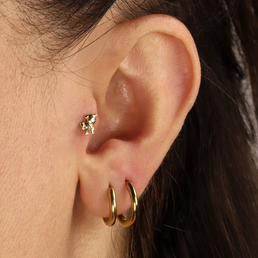 Dog Flatback Ear Piercing 14K Gold