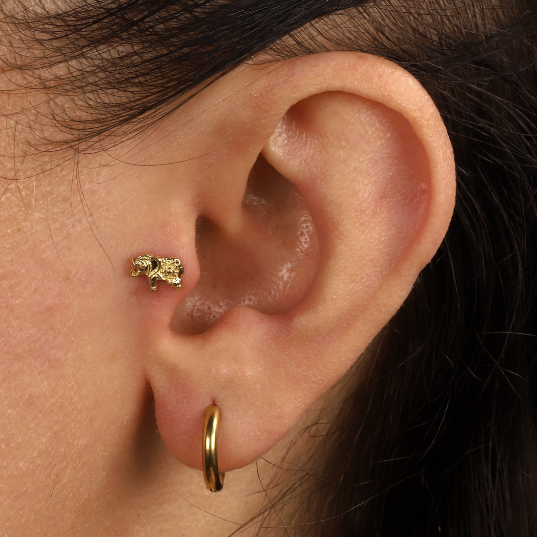 14K Gold Elephant of Abundance Flatback Ear Piercing