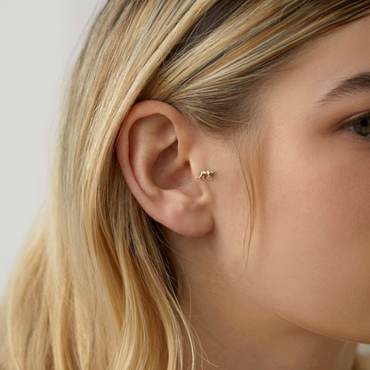 Geometric Panther Flatback Ear Piercing 14K Gold / Silver, nickel free wild piercing inspired by panther jewelry and animal style elegance.