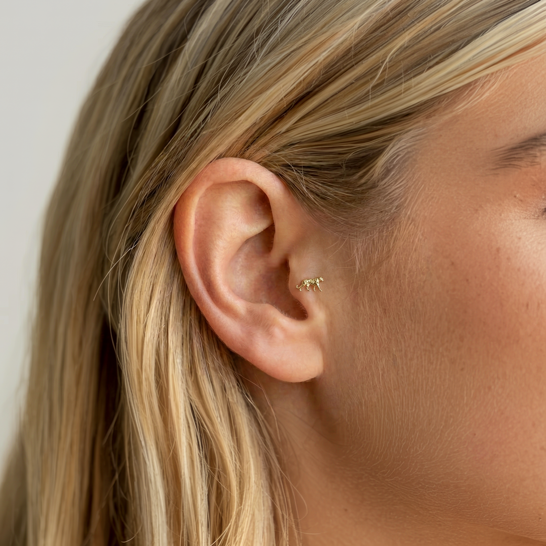 Leopard Flatback Ear Piercing 14K Gold / Silver