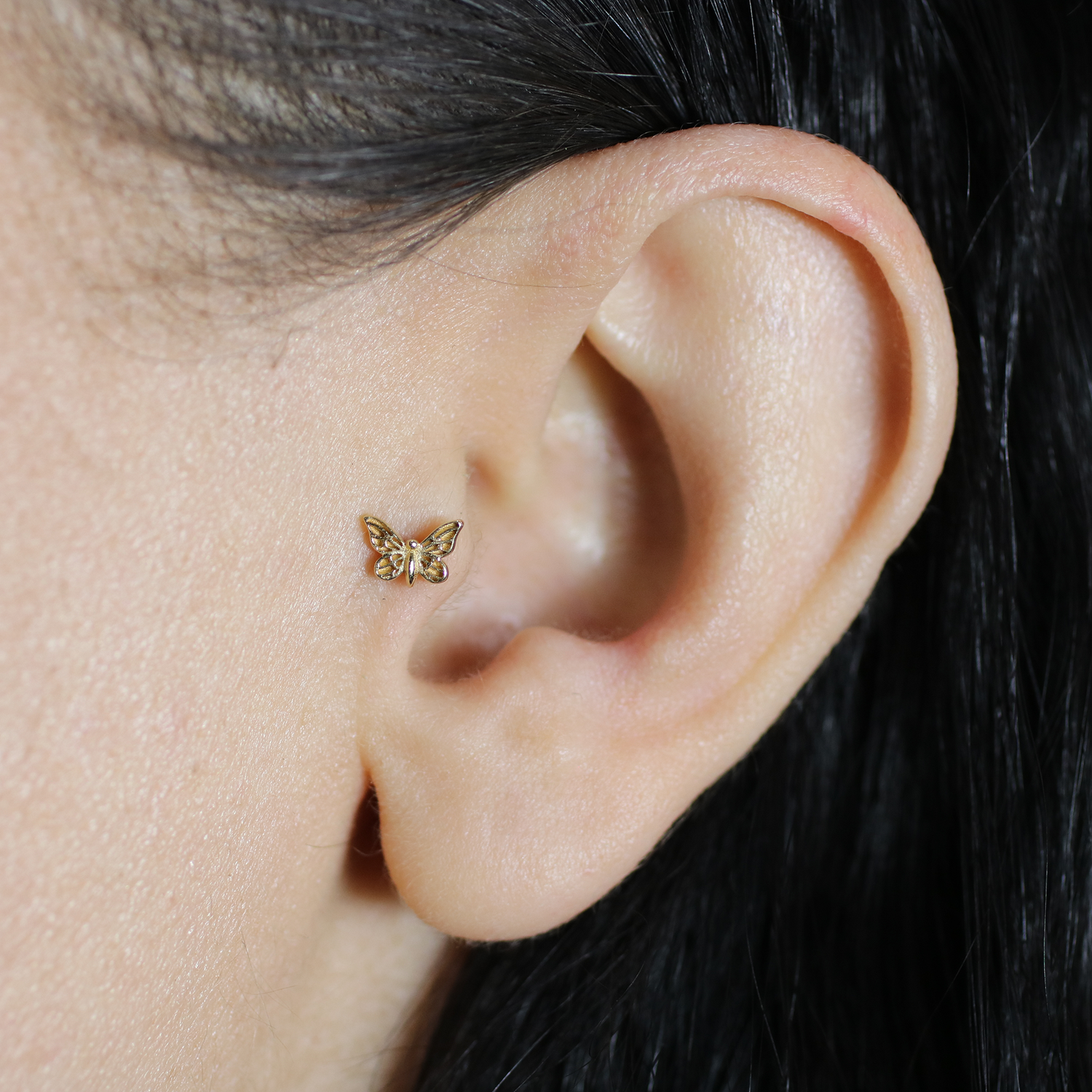 Mini Moth Flatback Ear Piercing 14K Gold