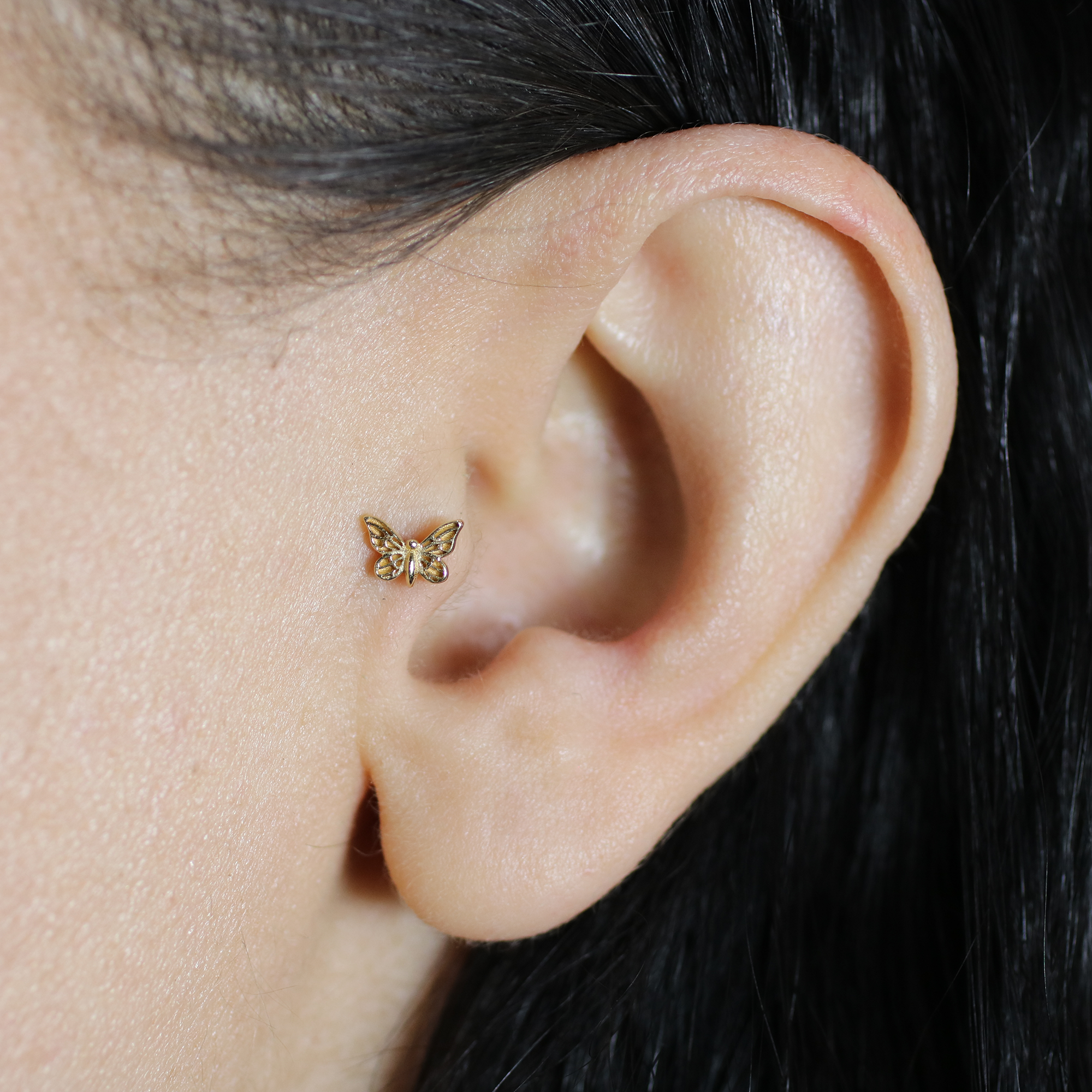 Mini Moth Flatback Ear Piercing 14K Gold
