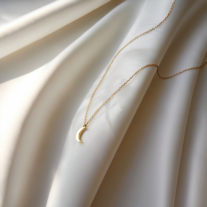Mini Crescent Necklace 14K Gold