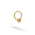 Cat & Dog Paw Print Hoop Ear Piercing 14K Gold