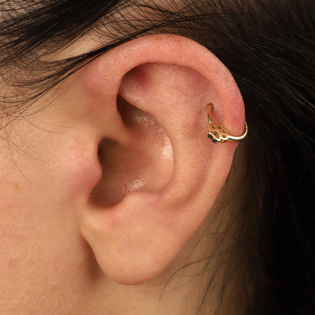 Paw Print Ring Hoop Ear Piercing 14K Gold