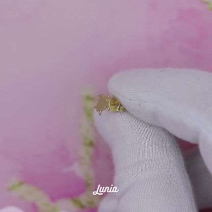 Sea Turtle Earrings 14K Gold