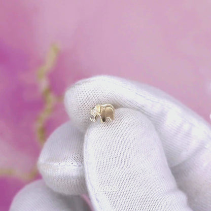 Lucky Elephant Flatback Ear Piercing 14K Gold with CZ Stone