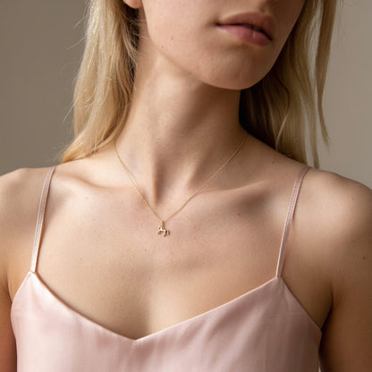 Equestrian necklace centred on a blush camisole in a front-facing portrait