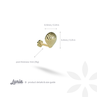 Sea Shell Flatback Ear Piercing 14K Gold