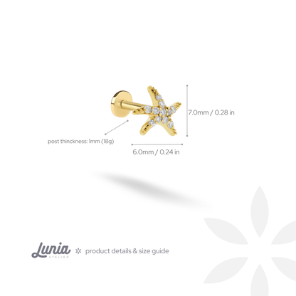Sea Star Flatback Ear Piercing 14K Gold / Silver