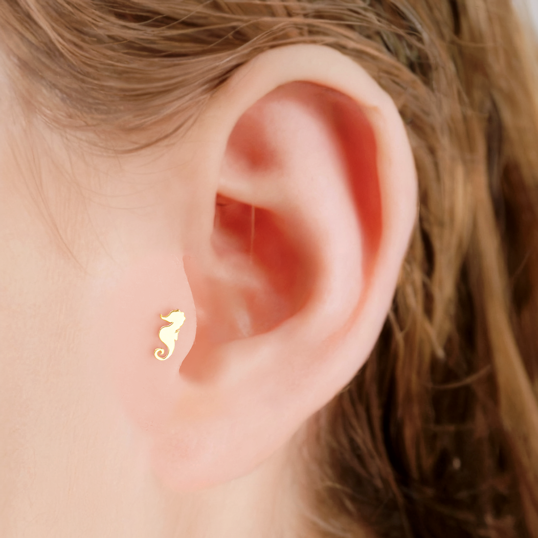 14K Gold Seahorse Flatback Ear Piercing