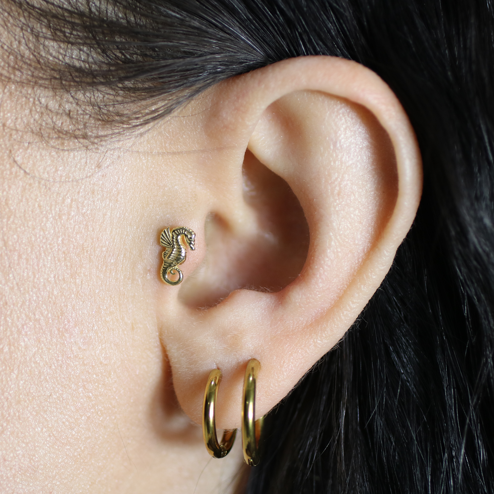Ocean Horse Flatback Ear Piercing 14K Gold